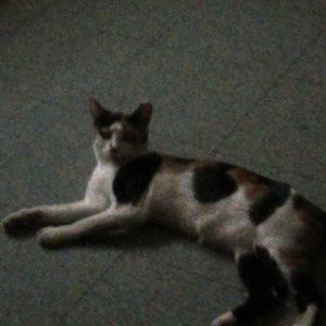 Meet your Posher, Jackie